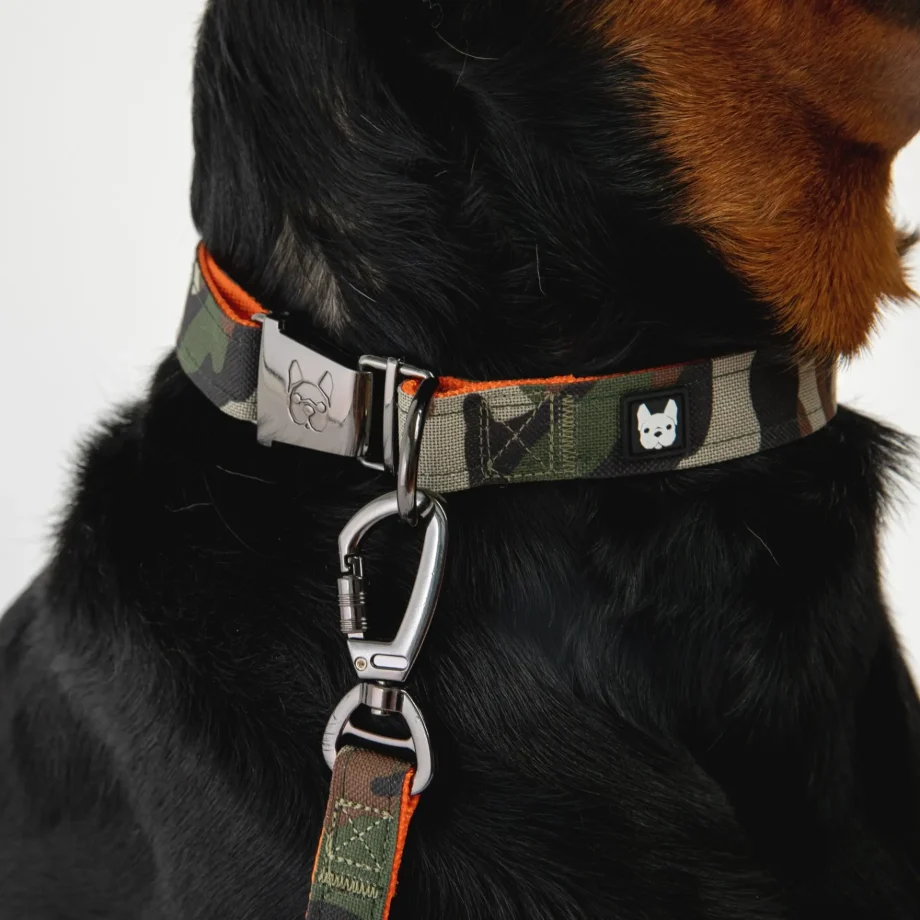 Poplin Dog Leash - Camo